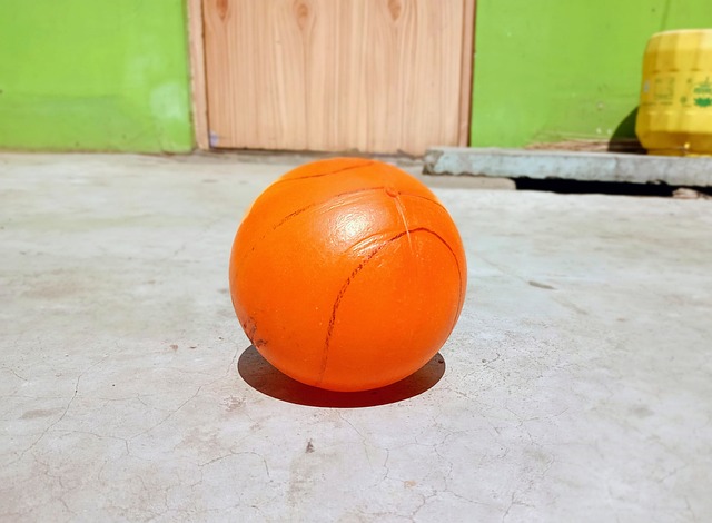 在不断适应 在不断适应