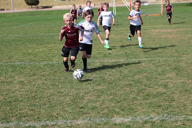 样的改革 样的改革