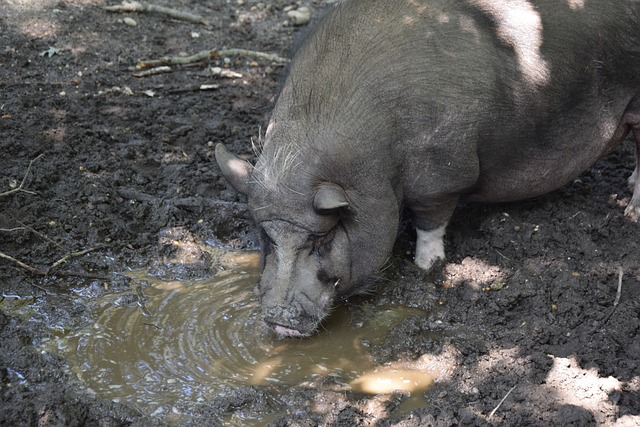 赛事之一 赛事之一