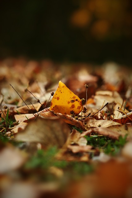 战斗力充满 战斗力充满