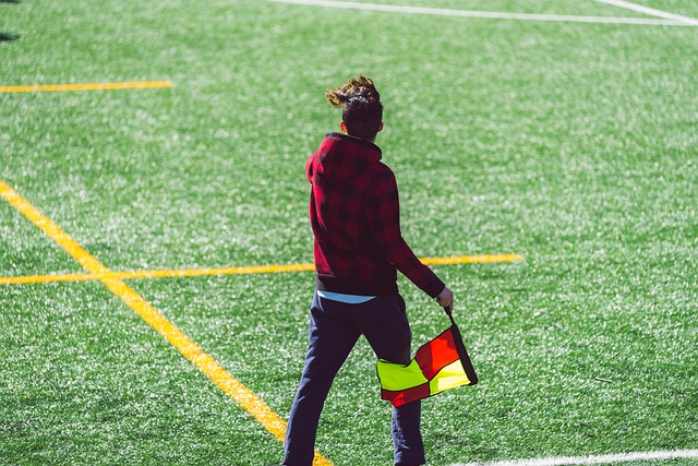 拔的球場形 拔的球場形