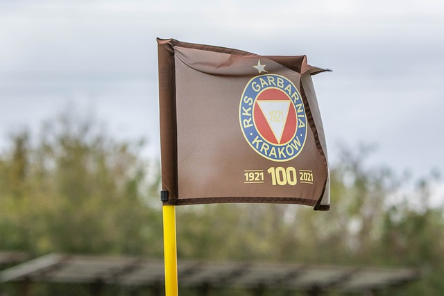 手工业发展 手工业发展