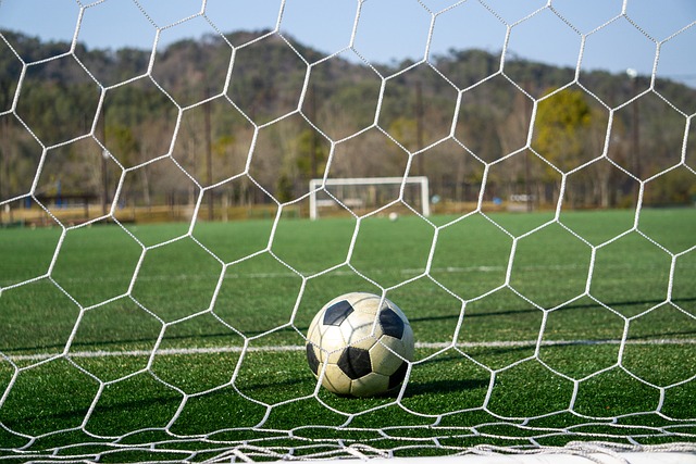 上赛季勇士 上赛季勇士