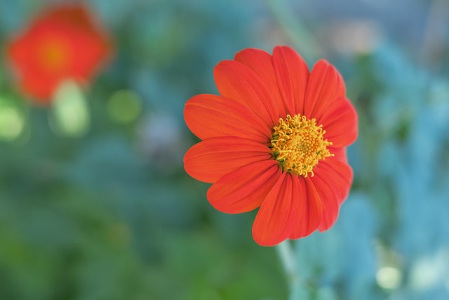 员的表现相 员的表现相