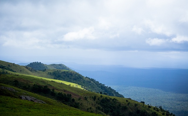 致的管理 致的管理