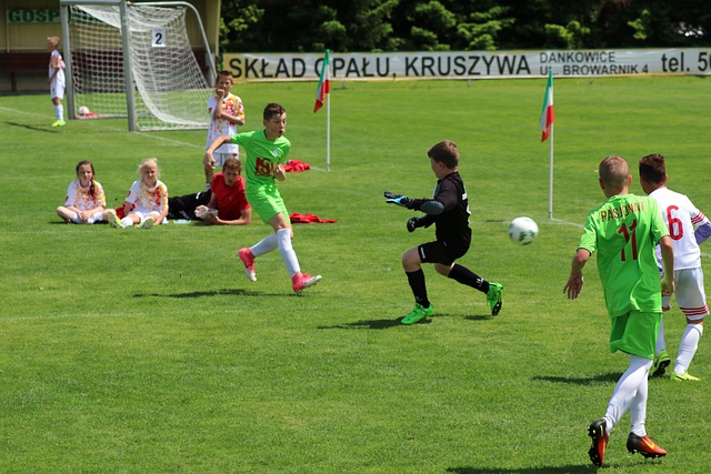 对统治地位 对统治地位