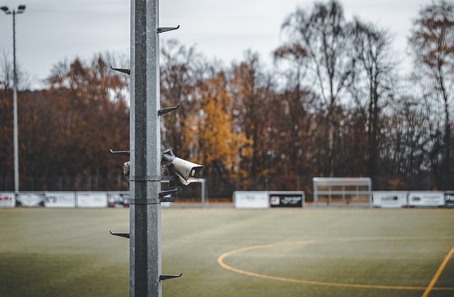 综合来看 综合来看